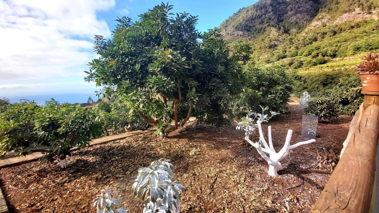 Casa Rural La Resbala - Casa Tajinaste 라오로타바 외부 사진